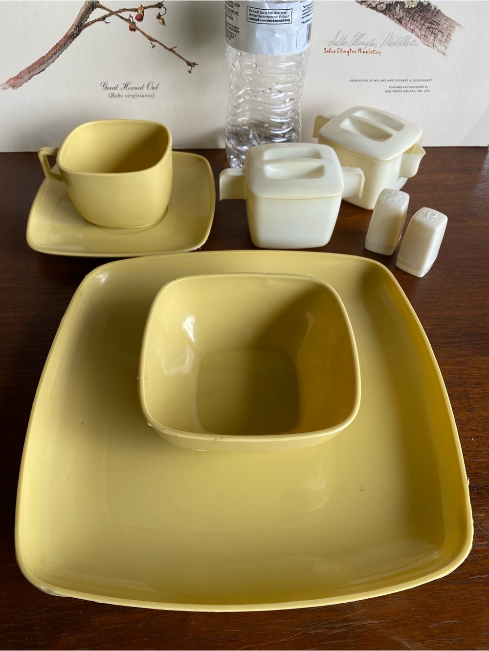 Vintage Tranquil Ware 46 Pc Dinnerware Set Byrd Plastics NOS New In Box 1970s